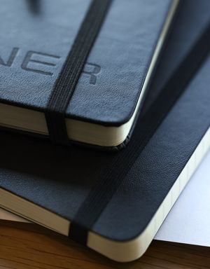 Plesner notesbøger